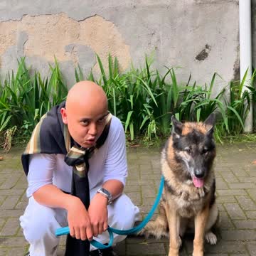 Krillin & Lexy lagi liatin cicacu.