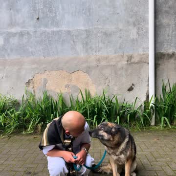Krillin & Lexy lagi liatin cicacu.